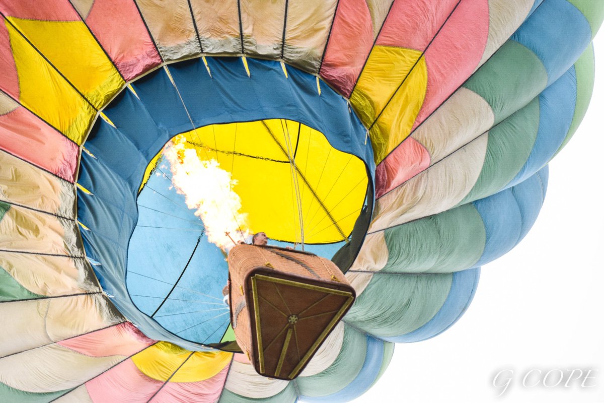 Grace Copeland tweet media