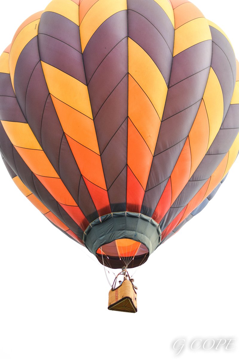 Grace Copeland tweet media