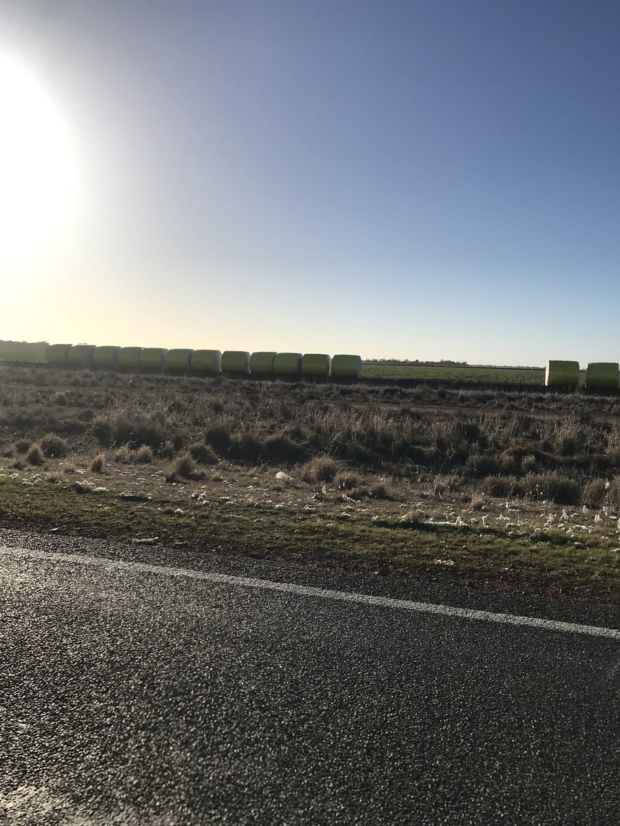 Still some cotton to be ginned in the south. Looks like a long season, but a good one! Picture taken on the run <a href="/Benj_Webs/">Ben Weber</a> <a href="/AMG_galagher/">Ann-Maree Galagher</a> <a href="/Pete_Karam/">Peter Karam</a>