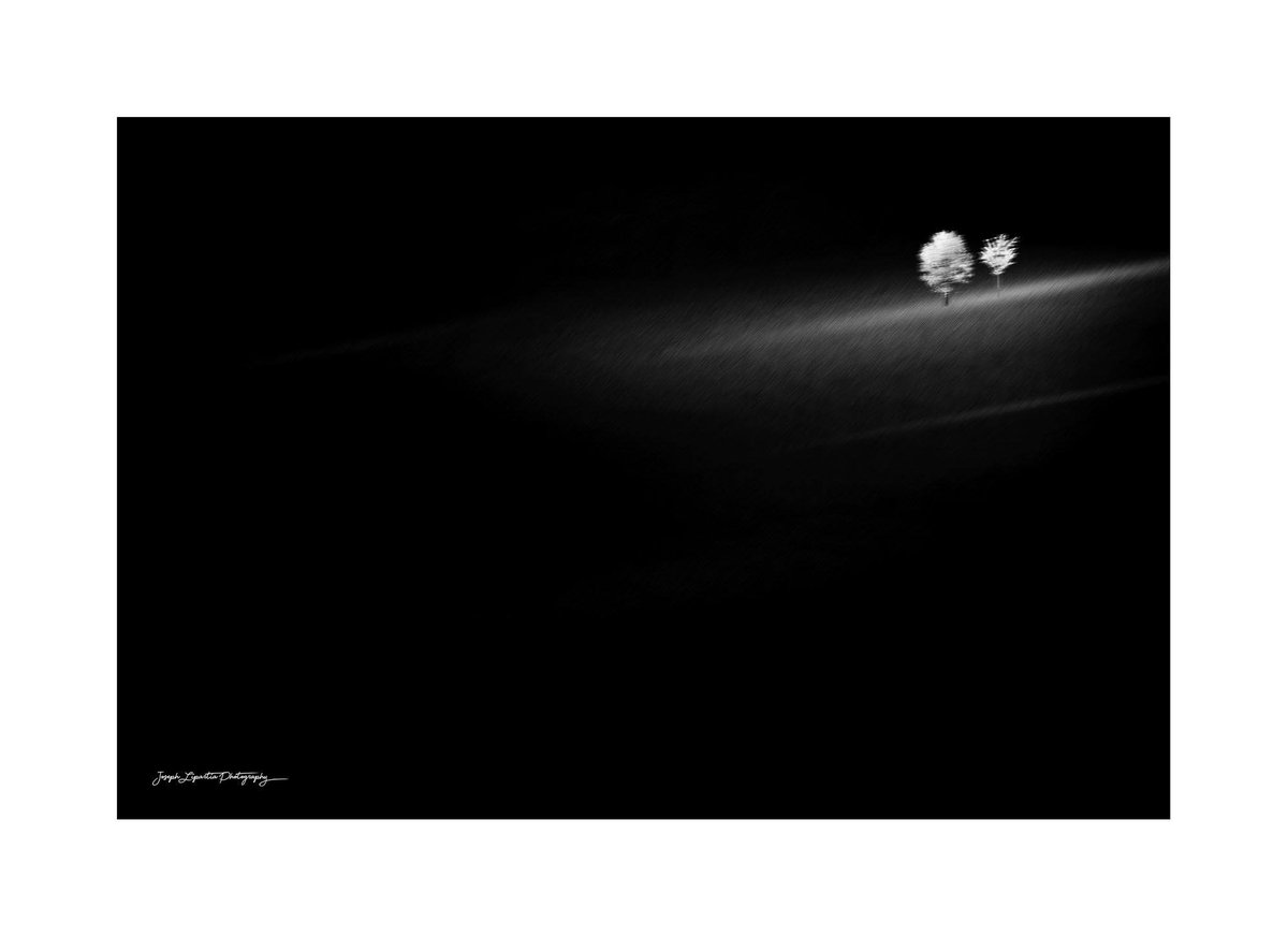 LipartiaPhoto's tweet photo. #expulsion of Adam and Eve from Eden
This is what I see. This is how I see... 

#bnw #bnwphotography #blackandwhite #blackandwhitephotography #tree #trees #nature #photography #fineart #fineartphotography https://t.co/bfqzLLuH0g