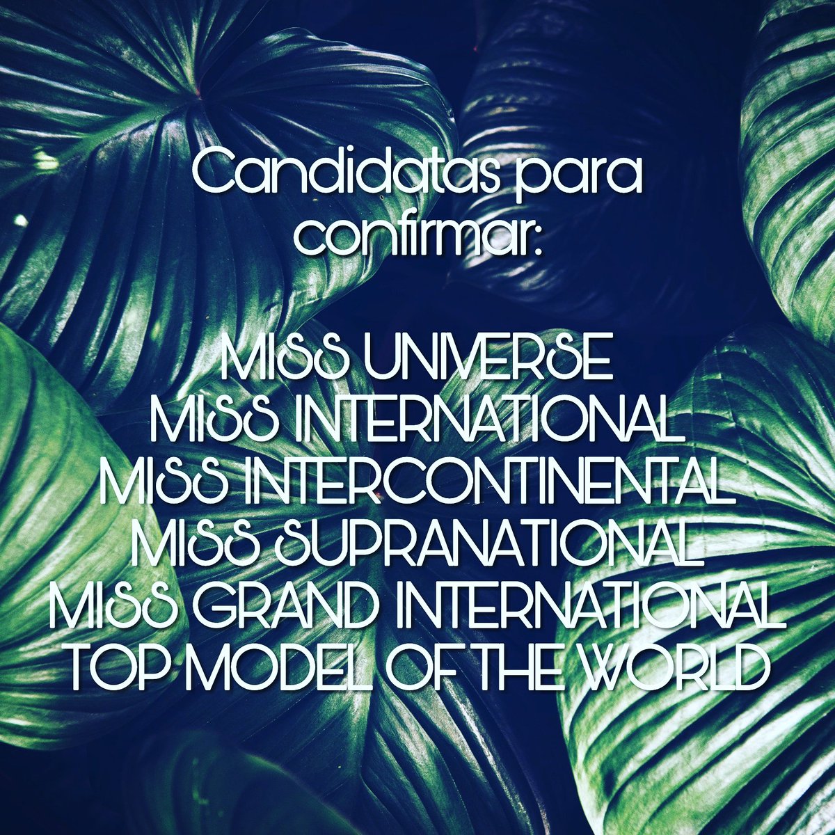MissesDePR's tweet photo. Candidatas que faltan por confirmar para el #TeamMissPR2018🇵🇷
.Miss Universe PR
.Miss International PR
.Miss Intercontinental PR
.Miss Supranational PR
.Miss Grand International PR
.Top Model Of The World PR
#MUPR #MIPR #MICPR #MSPR #MGIPR #TMWPR https://t.co/0XSKx9xX6c