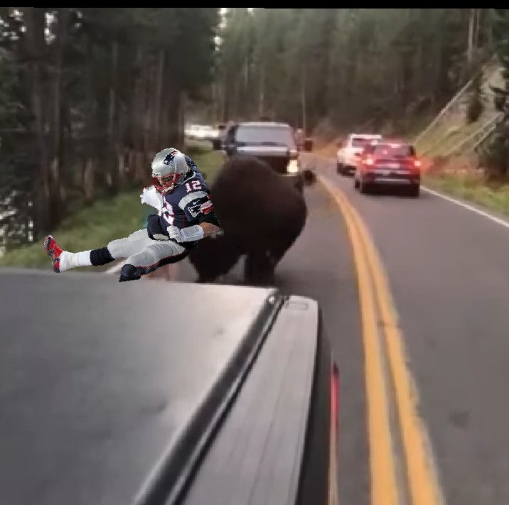 Johnnyfrombflo's tweet photo. @TerryBdattd @JamesRadio
@MikeFlorioPFT
Man taunts Buffalo....see you this fall Brady.  GO BILLS!!!! #BILLSMAFIA
@buffalobills @TheBillsMafia @onemangang97 @ShreddandRagan https://t.co/4l55lCSiq6
