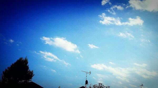 AYAZOU29's tweet photo. 調子の悪い時、お返事返せないことが多々あります。

その時、ありがとう💕、素敵だね✨、見たよ❗👀、ツラいね😢‥など、色んな感謝の意味を込めて❤で返させて頂くことにしています。

折角の皆様からのコメントですが、その際はご理解下さりますと幸いです┏○))ﾍﾟｺｯ
 #難病 #写真 #花 #空 https://t.co/e1iXKSwRtF