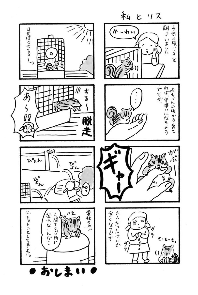 「私とリス」可愛らしいが、げっ歯類とは心が通い合わなかった。。。 #シマリス #噛む 