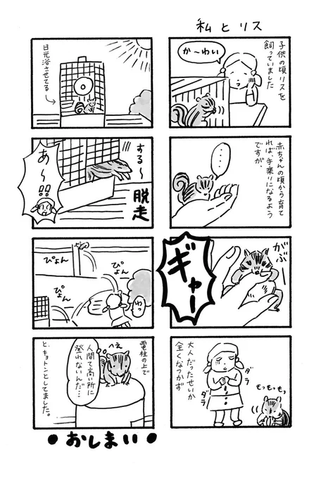 「私とリス」可愛らしいが、げっ歯類とは心が通い合わなかった。。。 #シマリス #噛む 