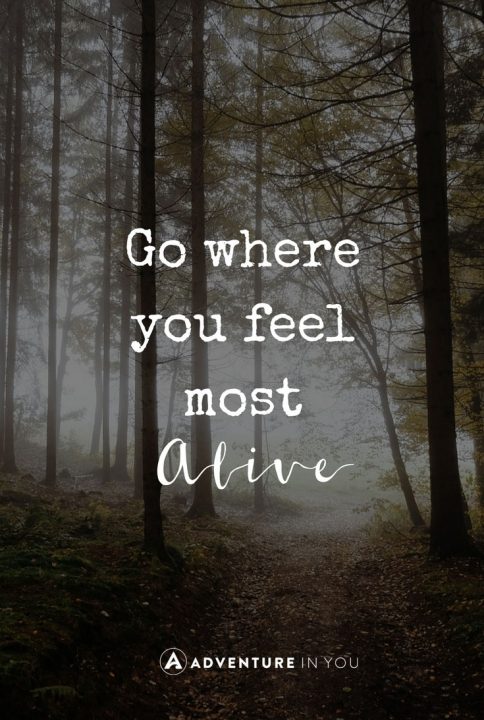 explore and get what u want