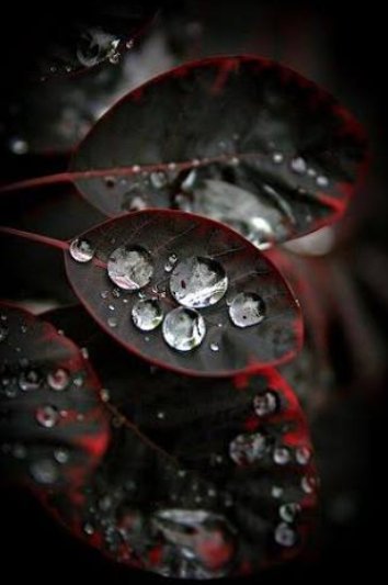 Neel1Neel's tweet photo. When others loves u
Ur habits feel to them cute.
When others hate u
Even ur good habits are ugly
Due to hatred .
If u use they treat you as ur self image
u will always be riding the inner roller coaster.
Bcz
They makes you puppet
Cz of trepidation.
#Be_Urself
#Neel🍁 https://t.co/L7AFBlQmF7