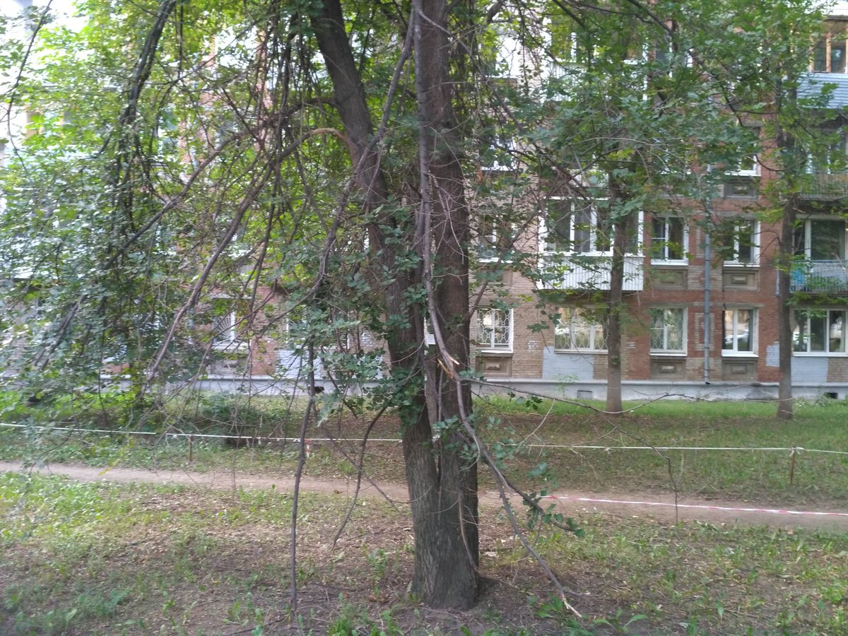 Stephan_Gunsche's tweet photo. @AdmSov Также на фото: множество засохших веток, не вырубленная поросль напр.дома 9, и т.д. https://t.co/xG0KGnFSL6