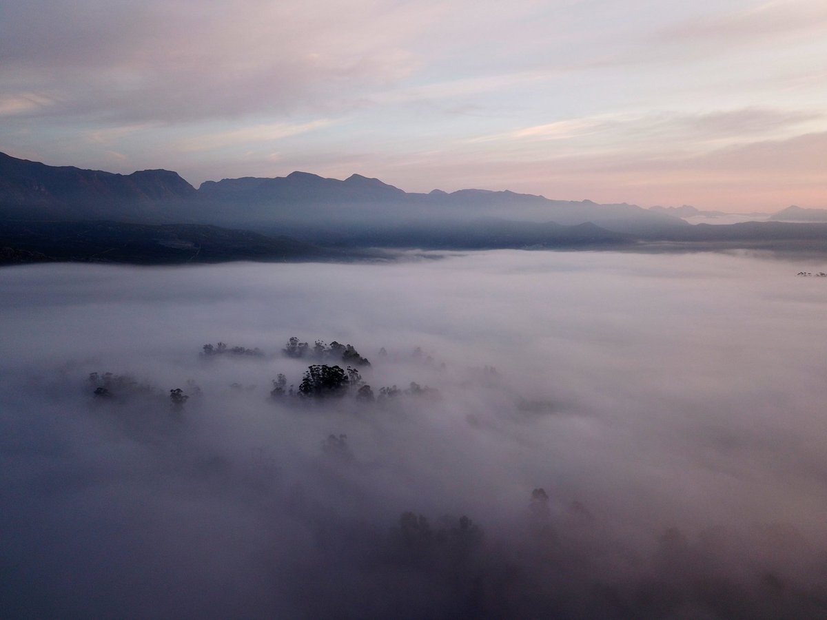 I love it when I drive over Sir Lowry's Pass and the Elgin valley is covered with mist. 
#discoverOverberg