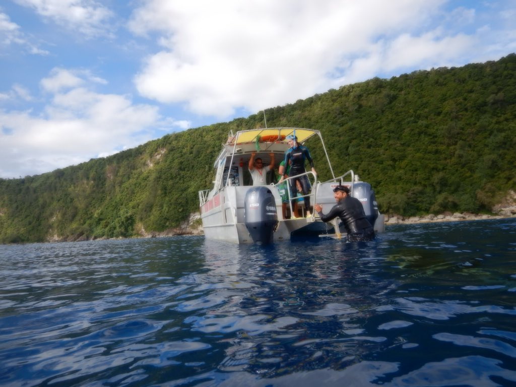 Marc Benioff on Twitter: "The Kingdom of Tonga. The jewel of the South 