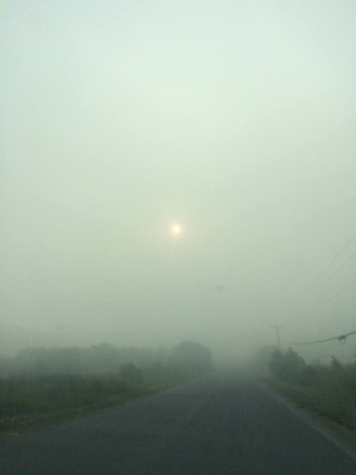 Muskoka411's tweet image. Crews Continue To Make Excellent Progress In Critical Parry Sound 33 Areas 
muskoka411.com/start/crews-co… 
#ParrySound33 #forestfires #OnFires