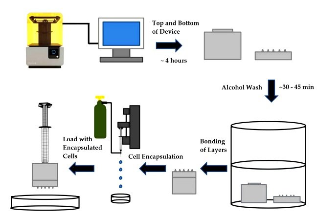 Bioeng_MDPI's tweet image. New:   Three-Dimensional (#3D) Printed Microneedles for #Microencapsulated #Cell Extrusion, published by Maryam Mobed-Miremadi  group (Santa Clara University).  Please check it out: mdpi.com/2306-5354/5/3/…
#mdpibioengineering  @SantaClaraUniv