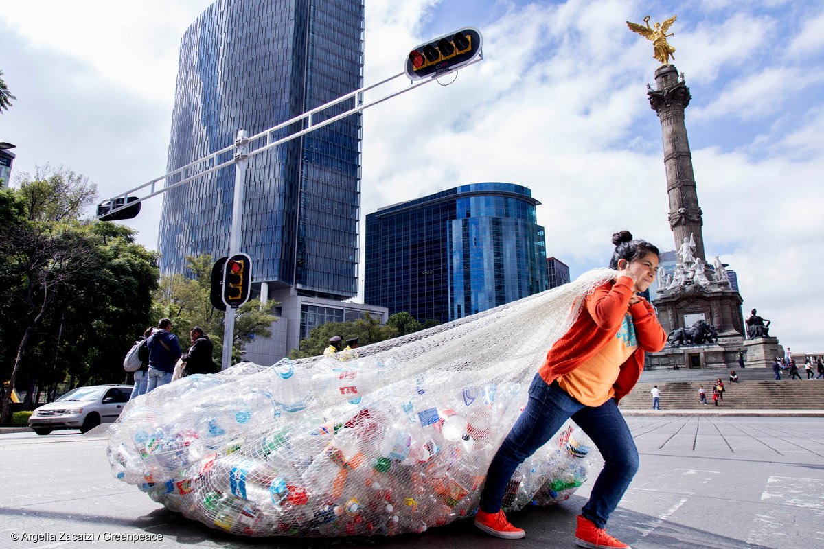 greenpeacekorea tweet picture