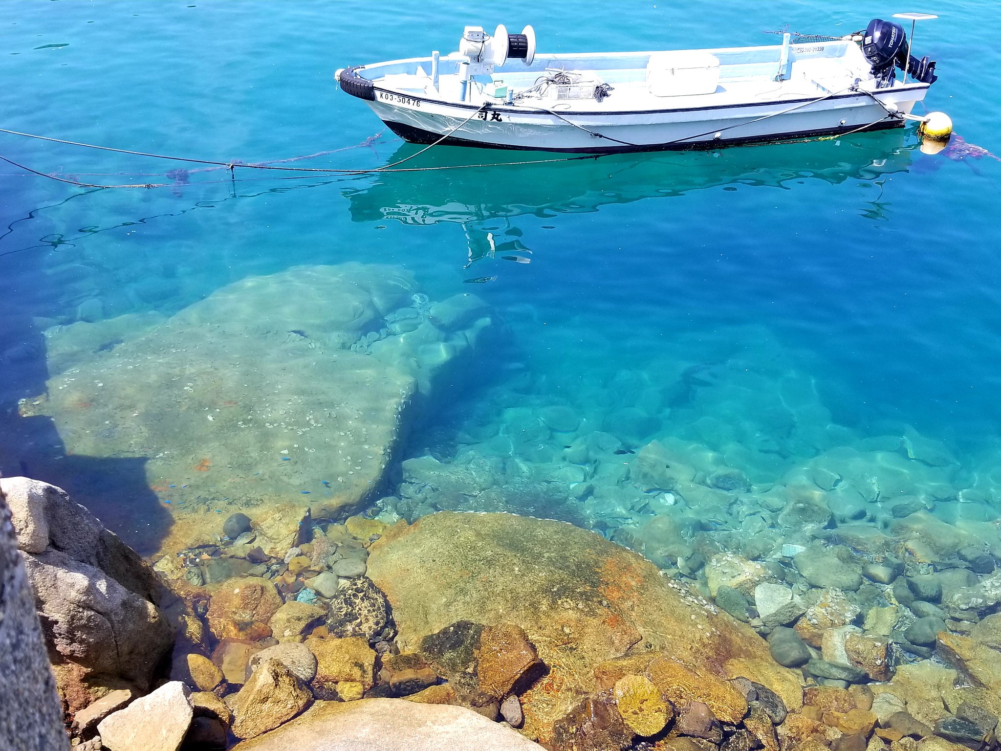 Akira 5128 19 Twitter