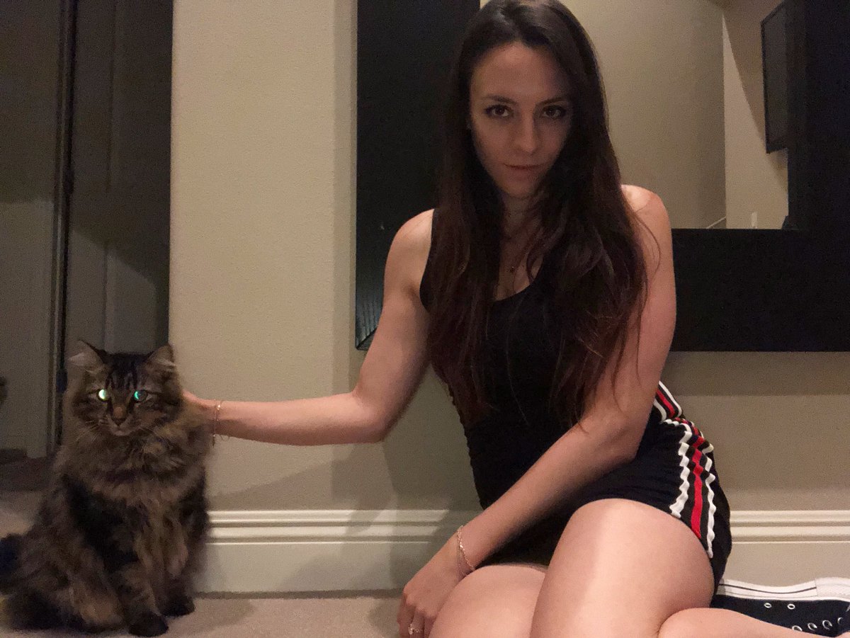 weareyvrmusic's tweet photo. This is what Courtney does 99% of the time #cattitide https://t.co/TvK5kDV20V