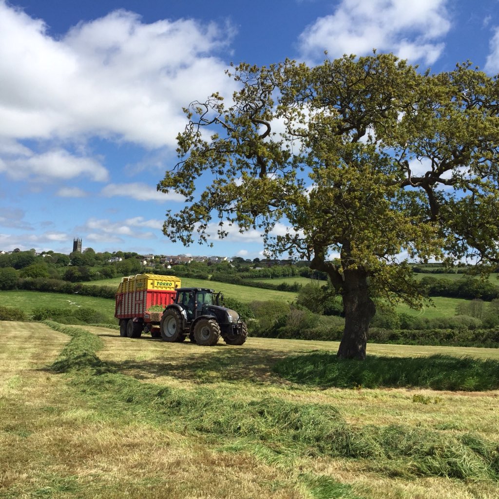 roselandkennels's tweet photo. @HertsFarmer @Sarahbellagri @woodboroughpark This could turn into a county competition #showoffyourlandscape 
#tagthreefriends 
@cvfarming @Longwool @AthwennaWMN https://t.co/FSiJ1aijG4