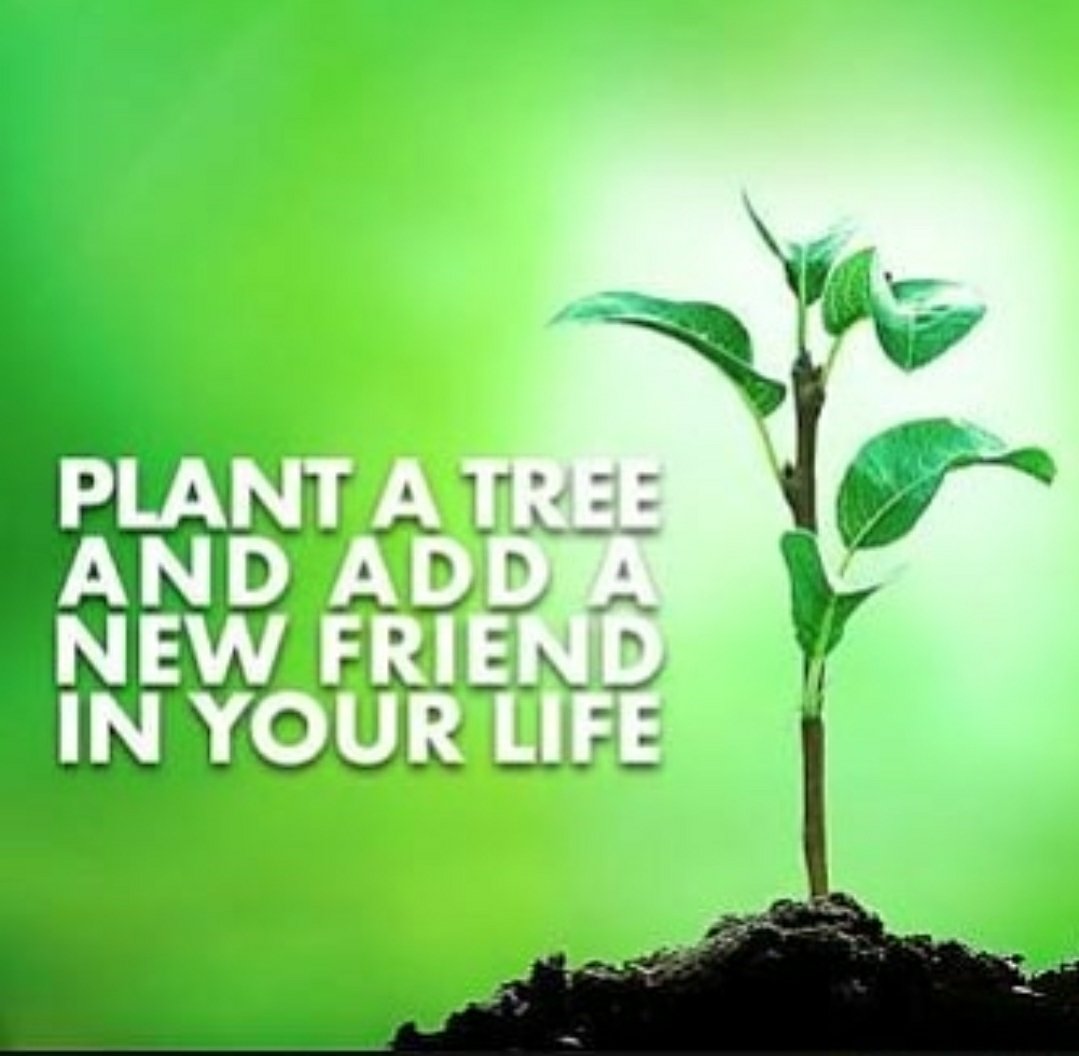 #IndependenceDay
#PlantTreesForPakistan @iqrarulhassan