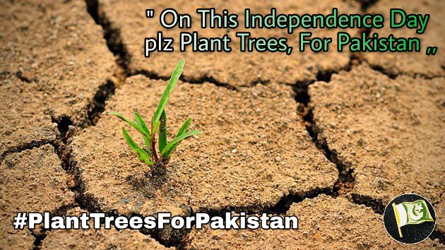 'PLz Plant Trees. To make Pakistan Greener & Safe,,
@iqrarulhassan @HamidMirPAK
#PlantTreesForPakistan 
#IndependenceDay