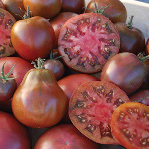 томаты гранатовые. помидор сорт граната. гранатовый томат. томат чернослив биотехника. томат бронсон f1.