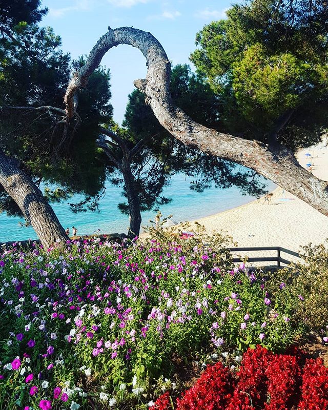 # spain🇪🇸 #costabrava #morning # утродоброе☀️ 📷: @olga_tiliguzova
Thank you!!! #campingtreumal