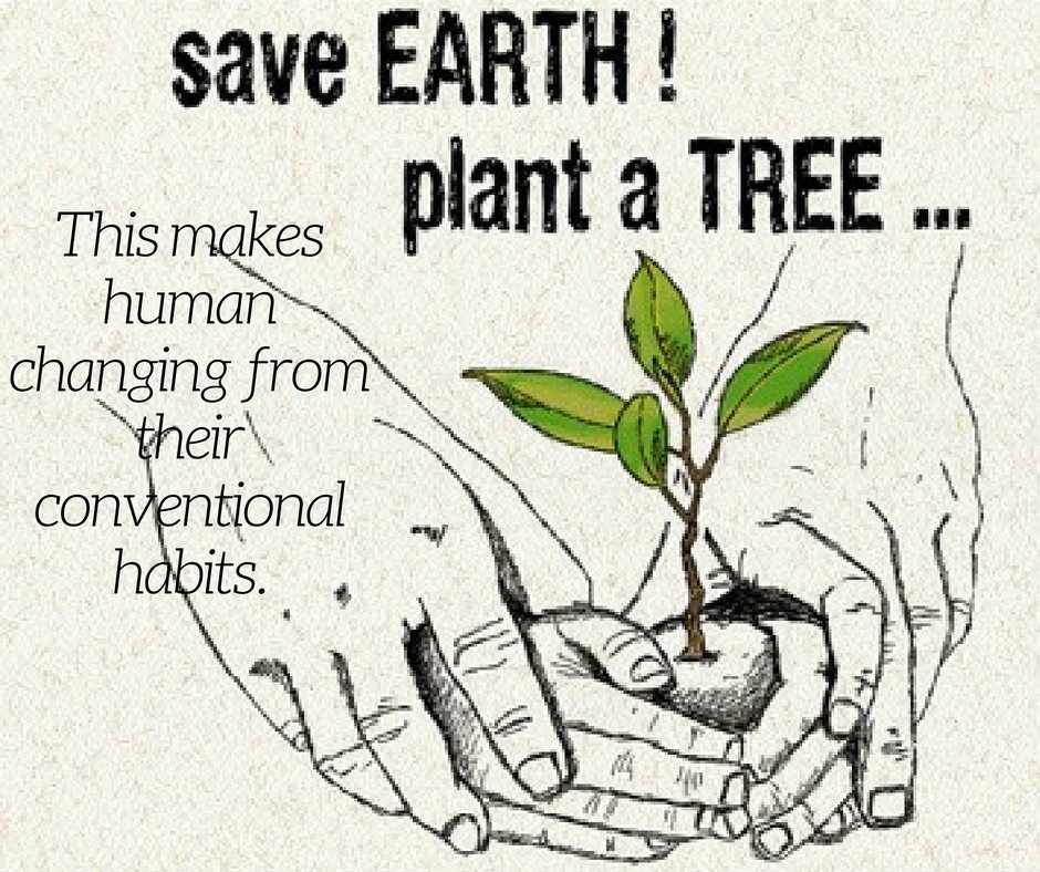 treesandyou's tweet photo. Trees For Life is a not for profit community based organisation working with everyday people to help restore our natural environment. 
#eartheducation #askfortrees #lovenature #BeautyAllAround  #saveplant #greenenviourment #treesfuture https://t.co/pXyfVMy8hb