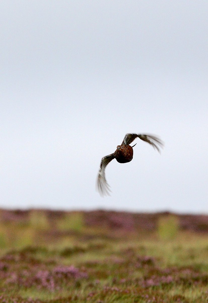 Just Cartridges tweet media