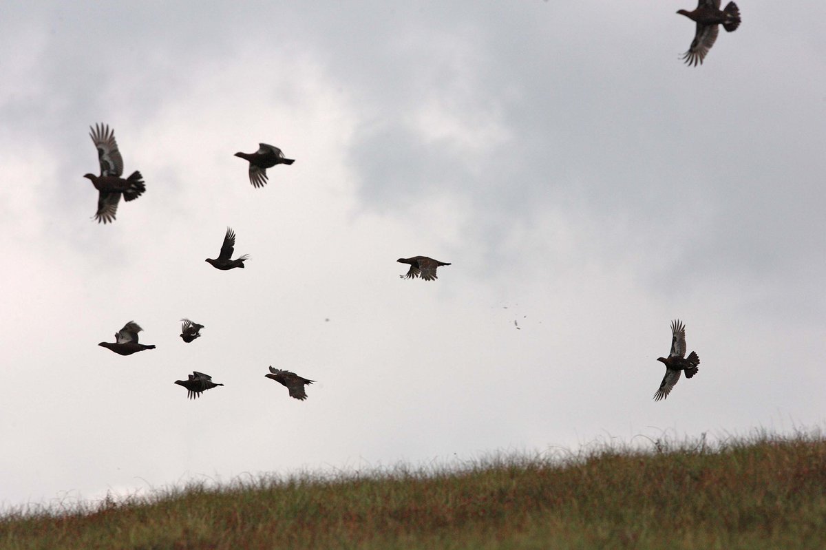 Just Cartridges tweet media