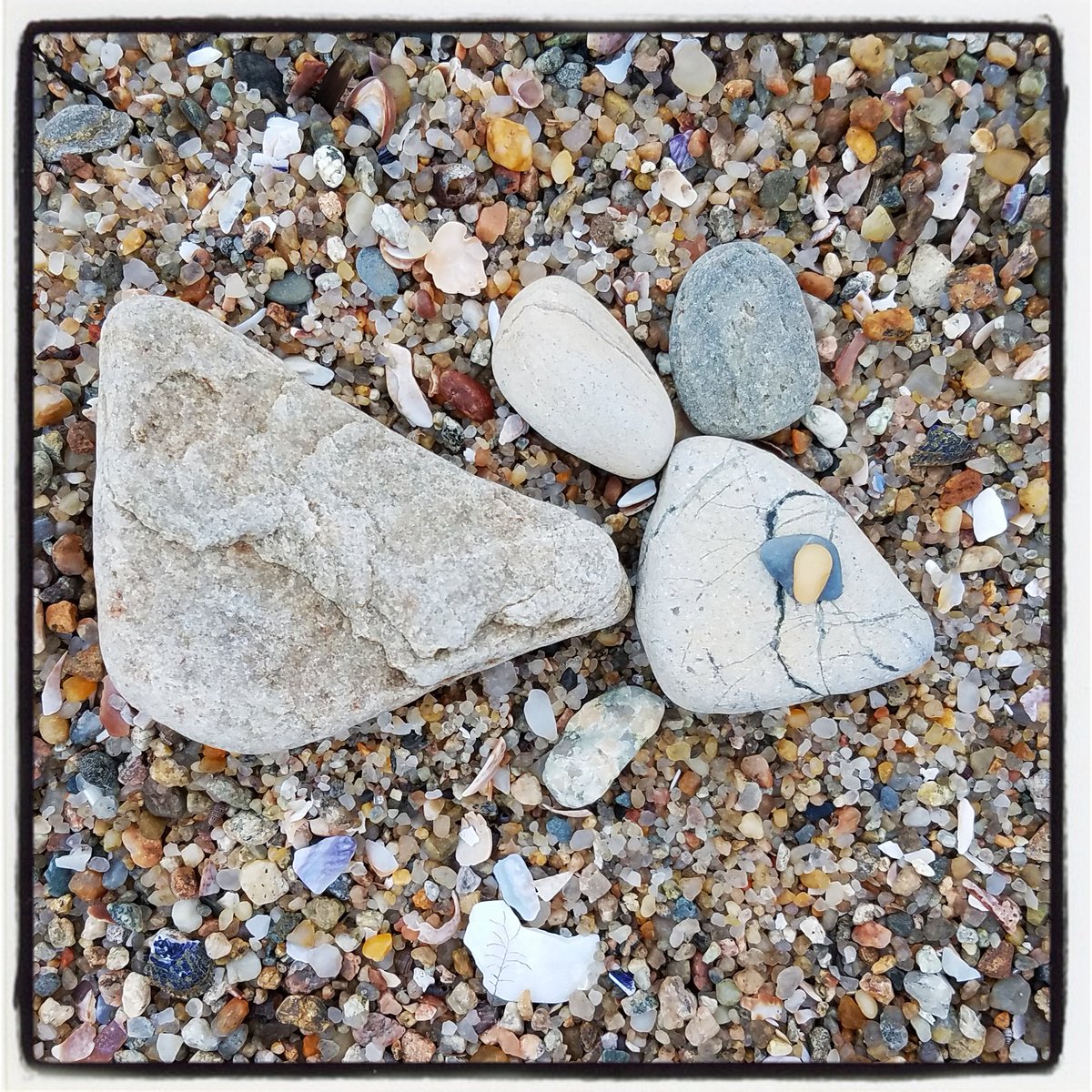foundFISHheidi's tweet photo. importantFish
#foundfishbuzzardsbay #foundfish2018 https://t.co/9r1tkVjjVL