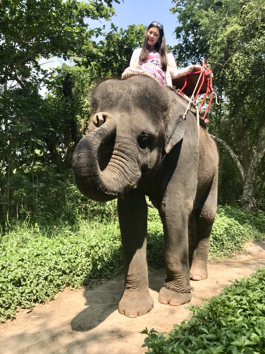 小嶋 グラディス Gradis 初めて象に乗った Thailand Bangkok タイ バンコク 海外旅行 エレファントビレッジ 象乗り 春休み