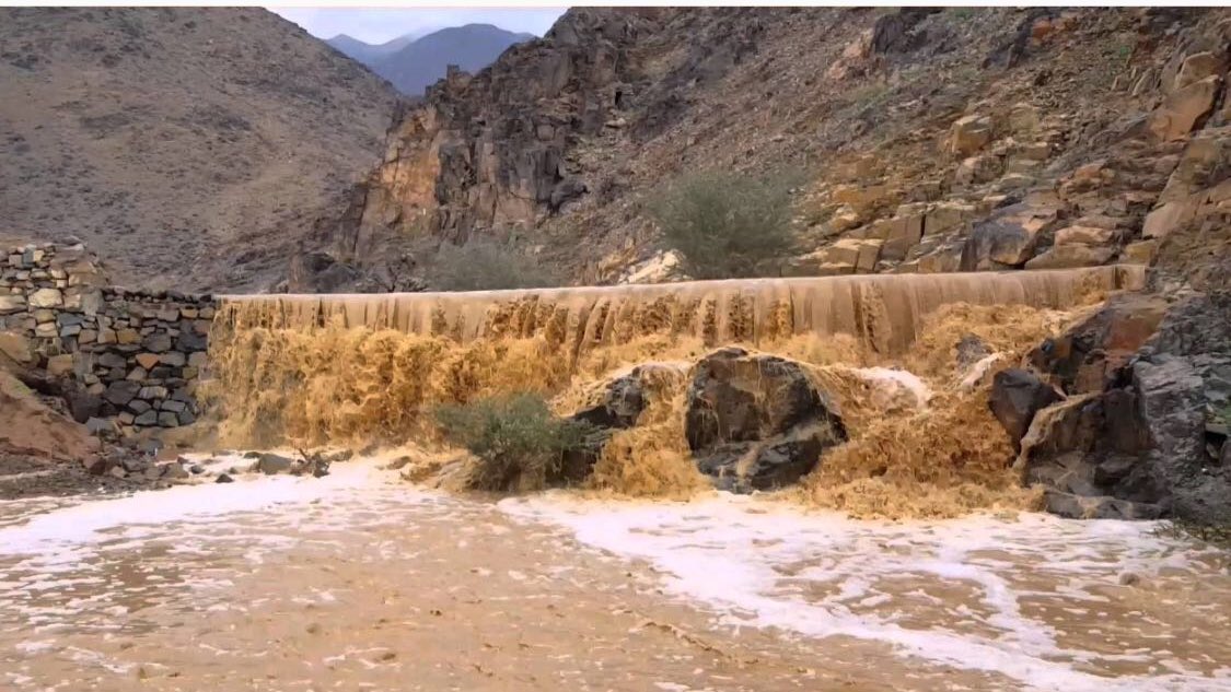 ������� ������� �����