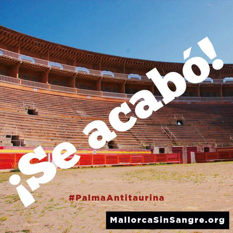 Hoy primer viernes de agosto de 2018  será la primera vez en la historia que no se derrame sangre de un animal inocente en la plaza de toros de Palma. Un hecho histórico y sin precedentes que esperamos que sea para siempre. Gracias a todas las personas que lo hicieron posible.