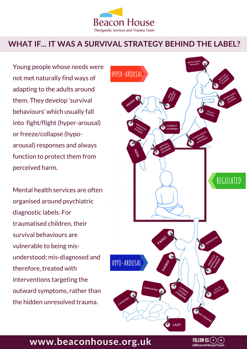 download cima revision cards organisational management and information systems cima