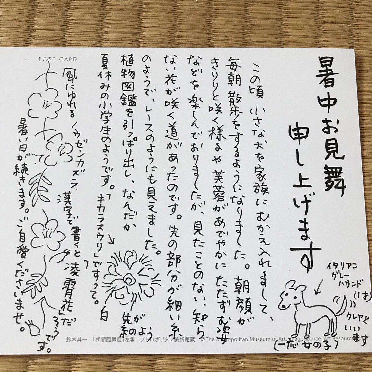 きくちいま 一枚一枚墨をすって端正な字で和紙に手書きなさっている とても丁寧な暑中見舞いをいただいたので 鈴木其一の 朝顔 大判 のハガキに 波千鳥と桔梗の花の切手を合計130円分になるよう貼って お返事を投函しました T Co