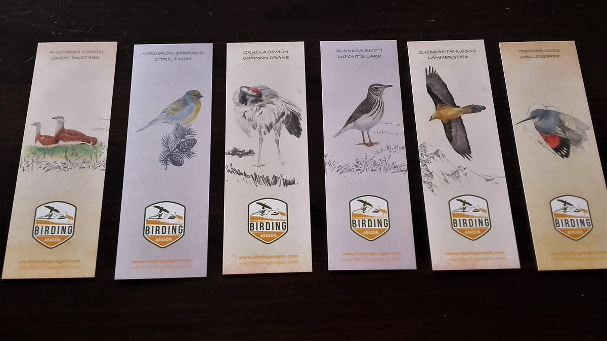 Cuál te gusta más? Colecciona estos marcapaginas de Birding Aragon cuando vayas a las ferias <a href="/TheBirdfair/">Birdfair</a> o a la <a href="/DeltaBirdingF/">DeltaBirdingFestival</a> También en los establecimientos o servicios de nuestros asociados. #birding #bookmark #marcapaginas #birdingaragon