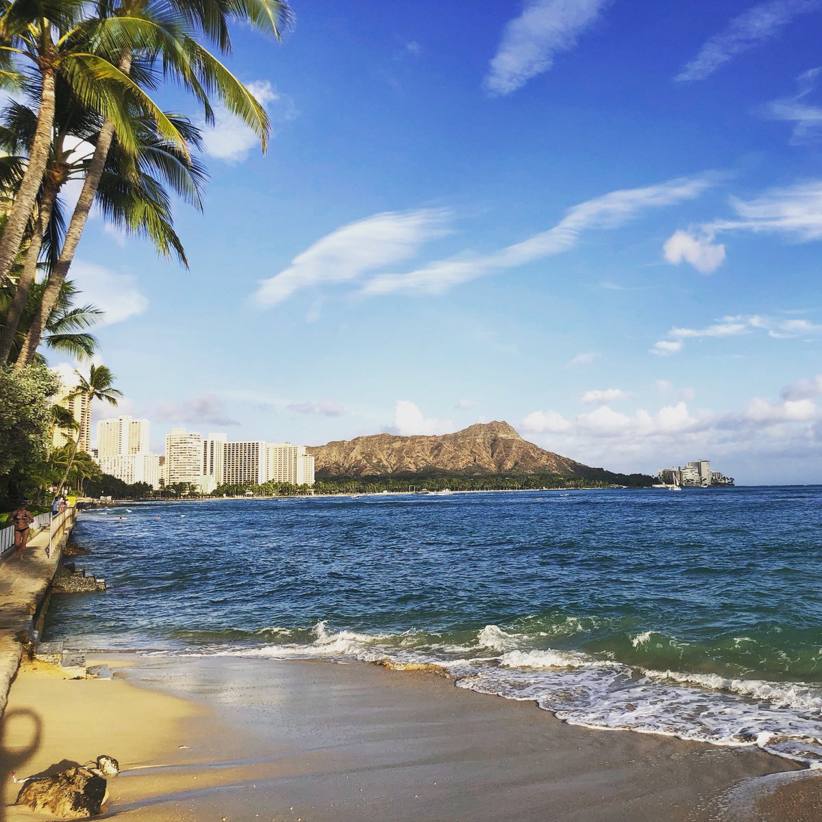 vivafrancy's tweet photo. ALOHA! #Hawaii #Waikiki https://t.co/LVyWCKmeVC