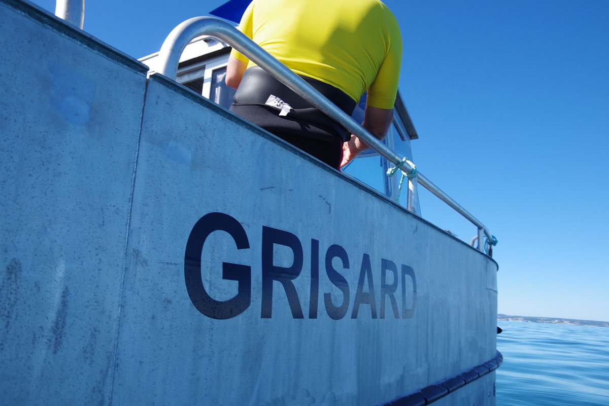 SDIS50's tweet image. Pt Log – Acquisition du BRS "Grisard"

Réceptionné  en mai 2018 par le gpt Log. 
Il est armé par les personnels spécialisés du CS de Cherbourg.

F° :
 - SAP en zone côtière
 - Entrainements de SAL
 - Moyen complémentaire pour opérations type IBNB 

 #SAL50
 #LOG50
 #CSCherbourg