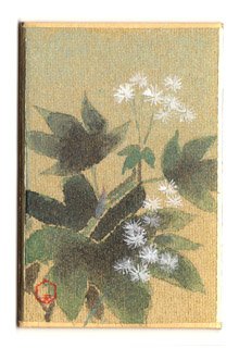 ８月３日の誕生花

 【紅葉唐松（もみじからまつ）】
 花言葉：自分らしさ：

 山麓の入り口や針葉樹林の入り口等の木陰に浮かぶ白い花姿は、本当に愛らしい。葉が紅葉に似ているからという単純な理由で、花らしくもない名前になりましたが、清楚な白い花は、何者にも代え難い美しさに満ちています。