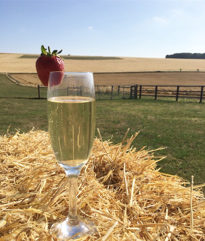 We’re super excited for Pizza and Prosecco night next Friday with live music from local band ‘The Sidekickz’ 🥂🍾🍕 Book your tickets now for an evening of fresh air, bespoke pizza, marvellous music and a bar full of bubbles! #booktoday #pizzaandprosecco #livemusic #bubbles