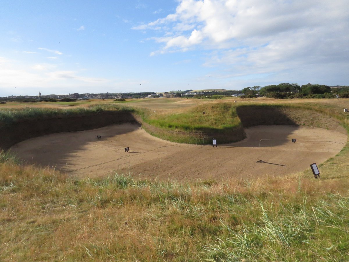 BTEcology's tweet photo. @AllanBoat A great job well done by the Links Trust #sandmartin #golfcourseecology https://t.co/ceF6fkHNxJ