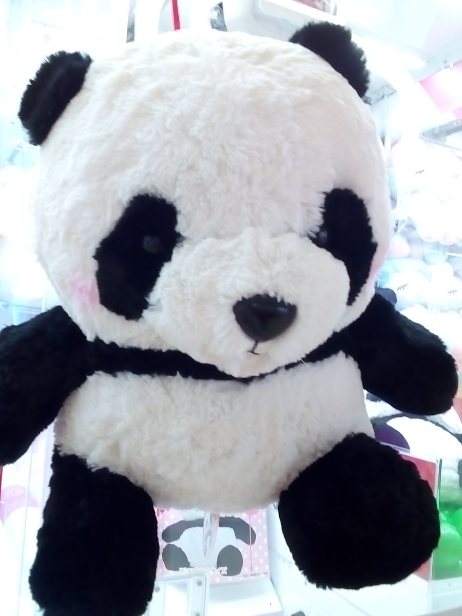 ট ইট র タイトーfステーション オリナス錦糸町店 プライズ パンダの赤ちゃんでかｂｉｇ が入荷 当店とるナビ登録でクーポンget T Co Ra5vc0iixv パンダの赤ちゃん オリナス 錦糸町