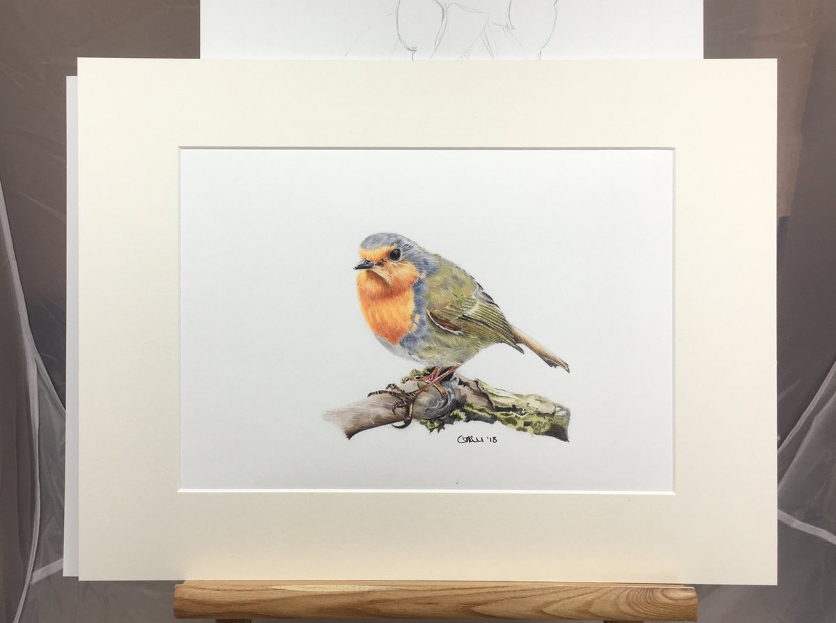 CazHallArt's tweet image. The 1st of my #limitededition #prints mounted and ready for shipping. So #excited to be sharing my #art in this way. Thank you @DCSPrint for the fantastic reproduction and @Elidanza for recommending this local provider. Ref pic by Terence Porter with gratitude #thrilled ❤️