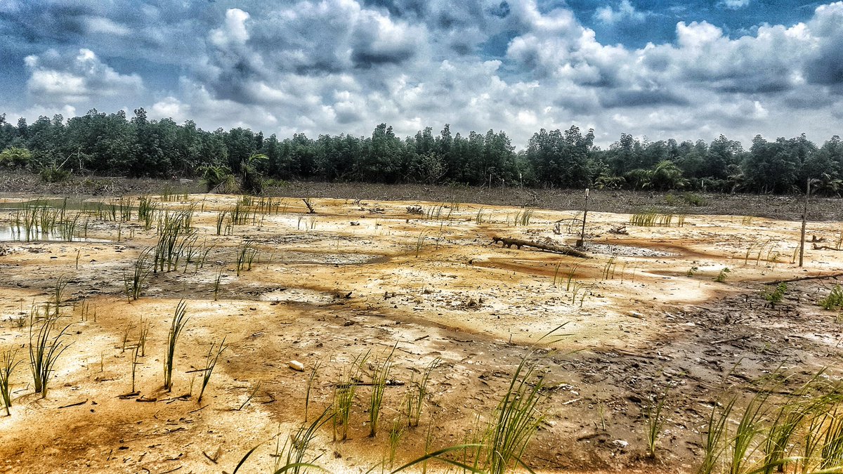 ReebookFiles's tweet image. CARRIBEAN LAKE City is a new property with Global C of O in View, Government approved and well documented. Located on the Lagos island, Sangotedo opposite Shop right 👉.
#RealEstate
#Lagosisland
#Property
#PropertyDevelopment
#Lagos

Pls Retweet my Client might just be on your TL