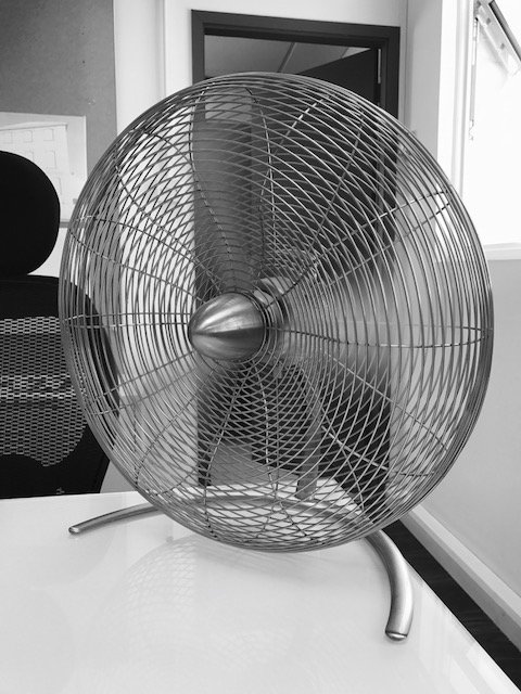 RedSquirrelArchitect (@redsquirrel_1) on Twitter photo Day 4 📸 7 days 7 B&W photos of your life. No humans/explanations - challenge someone new every day. Challenged by <a href="/orange_madbird/">Dr Helen Miles</a> Today we challenge <a href="/jumpstartpaul/">Paul White</a> Day 4 📸 7 days 7 B&W photos of your life. No humans/explanations - challenge someone new every day. Challenged by <a href="/orange_madbird/">Dr Helen Miles</a> Today we challenge <a href="/jumpstartpaul/">Paul White</a>