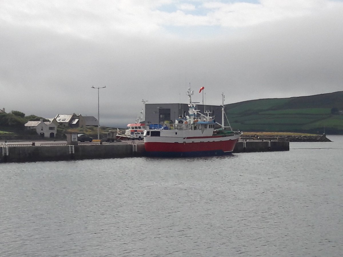 Beautiful morning by #DingleBay