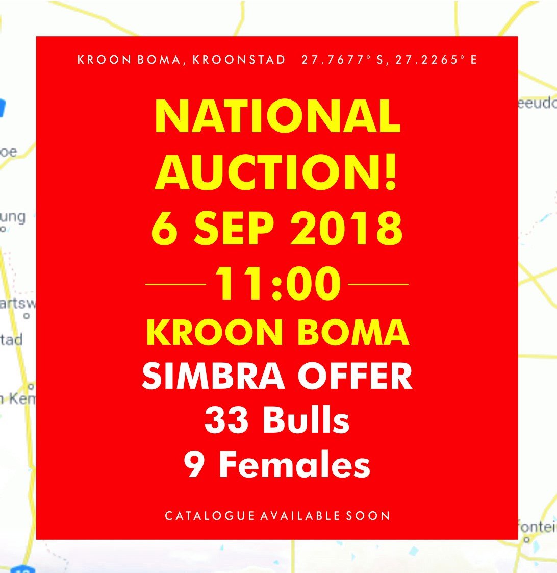 SimbraZA's tweet image. ** SAVE THE DATE **
Simbra &amp;amp; Simmentaler NATIONAL AUCTION, Thu 6 September 2018 at 11:00 at the Kroon Boma, Kroonstad. More info coming your way soon - watch this space!
#SaveTheDate #SIMNas2018 #Simbra #CompleteAllrounder #Since1987 #BeefUpYourFarm