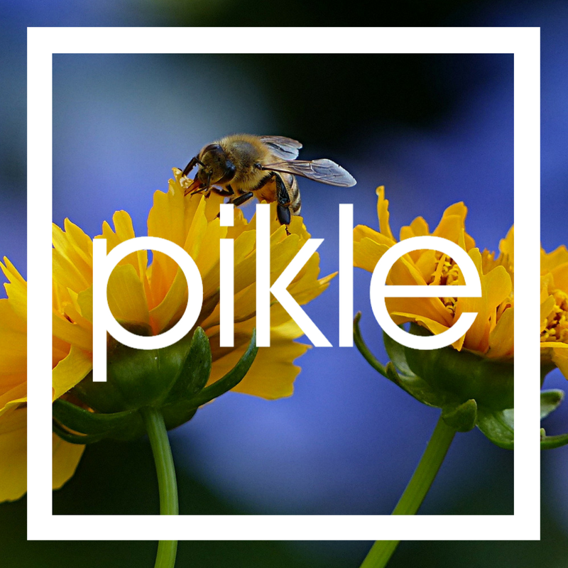 We hope everyone had a great week! Don’t forget to "bee" awesome this weekend! 
#tgif #piklebuzz #fridayfunday