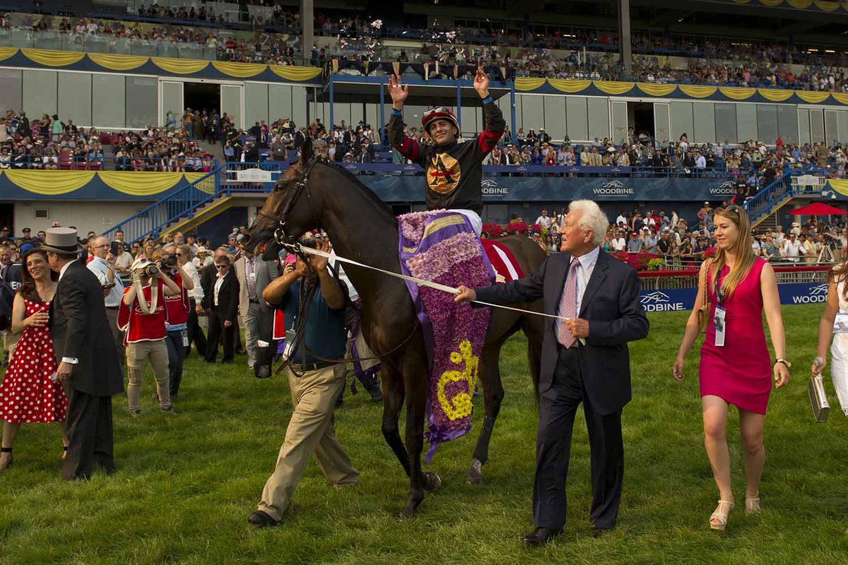 WoodbineTB's tweet image. #QP15 winner, Shaman Ghost is being inducted to the @Cdn_HallofFame. To celebrate, @AdenaSprings is donating 8 stallion seasons to be auctioned off at the gala on Wednesday. woodbine.com/woodbine-news/… #BetWoodbineTB