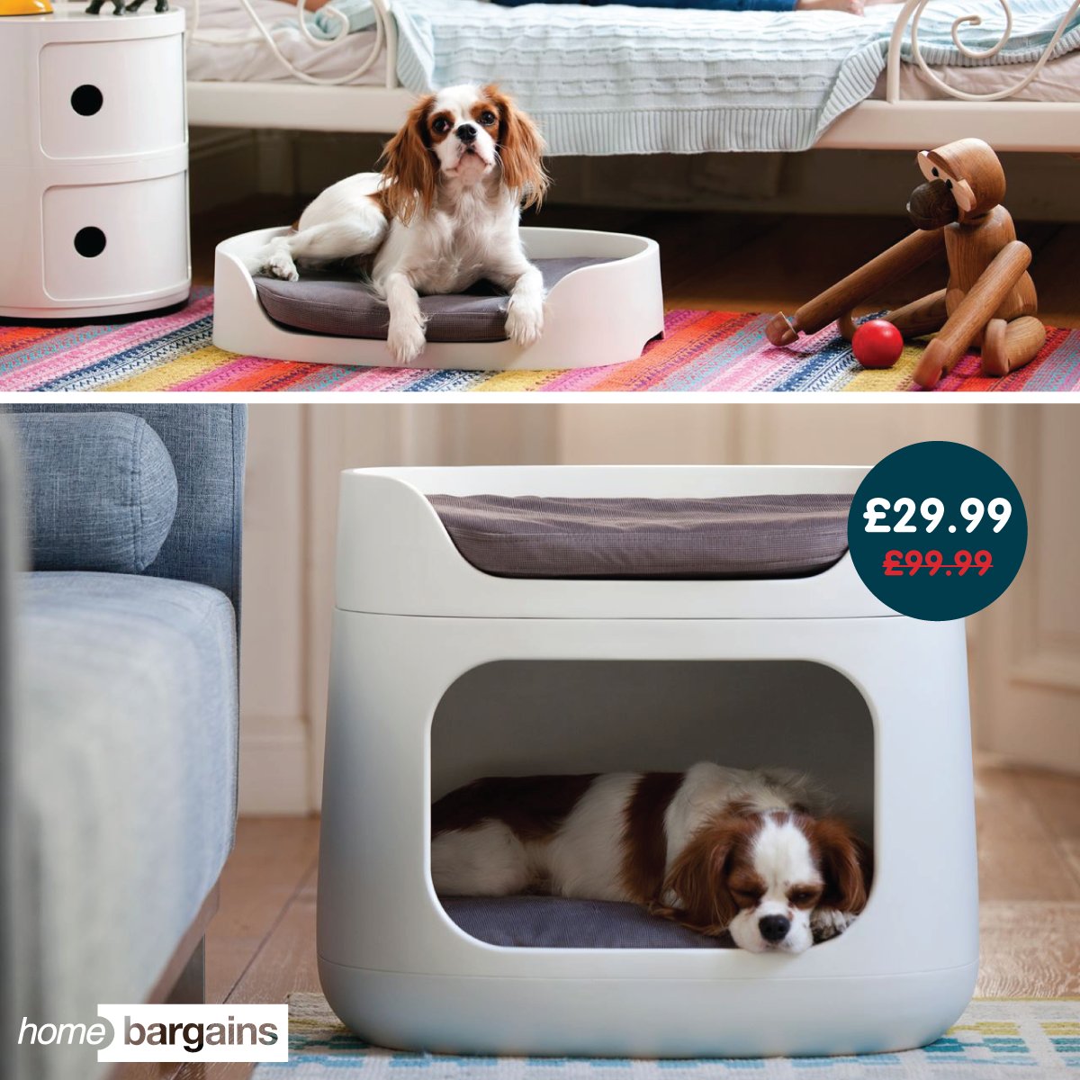 dog beds at home bargains