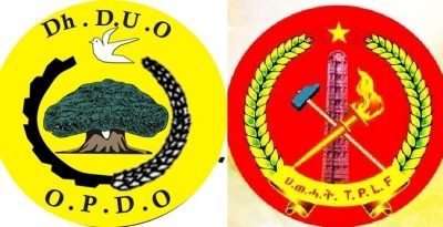 Kali Times tweet media