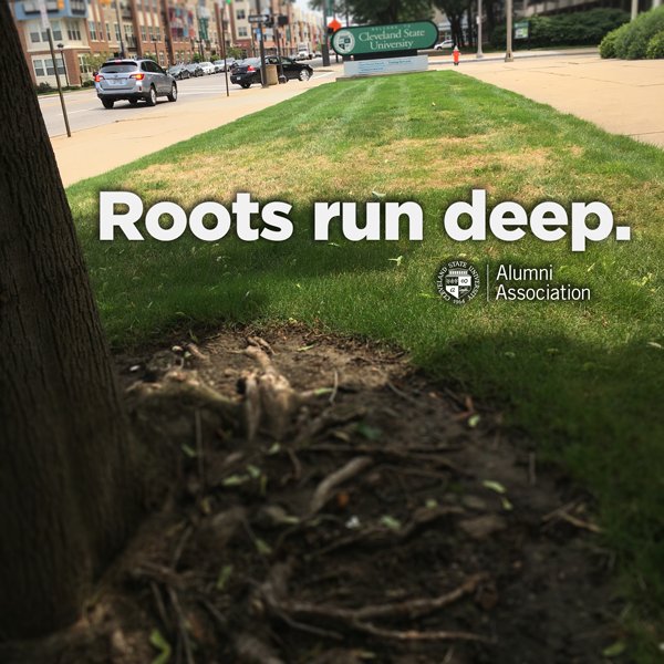 CSU_Vikings's tweet photo. Walking by this tree on campus made us think of how it's roots run deep. Same goes for the CSU Viking. For many of us, who we became is because of this place. Yep, our roots run deep. #SappyPost #BecauseOfTheTreeSap #InOurFeelings #ButForReal #ReTweetIfYouAgree #HashtagMafia https://t.co/7wwC8gn9zW